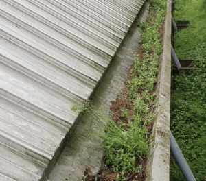 Happy customers in Virginia Water who trust The Roof Moss Cleaners for gutter cleaning services